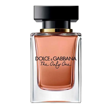 veste dolce gabbana femme|dolce gabbana perfume women original.